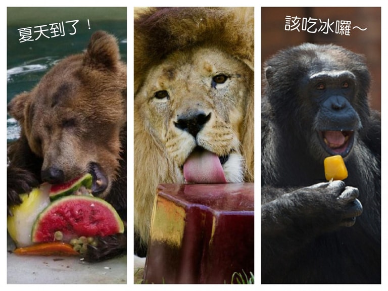 文章插圖