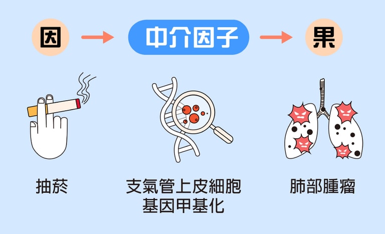 文章插圖