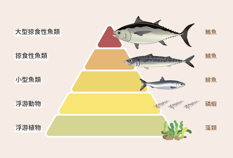 文章插圖