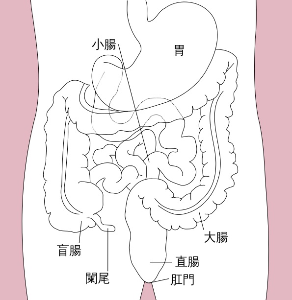 文章插圖