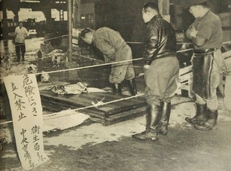 文章插圖