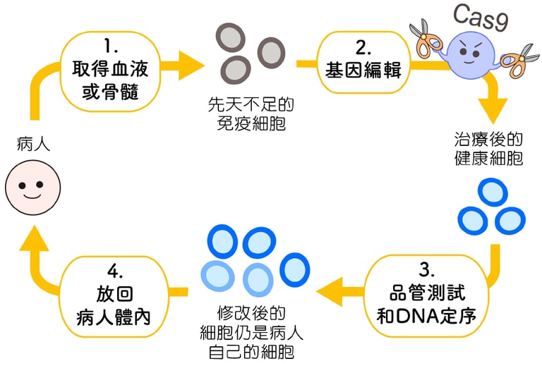 文章插圖