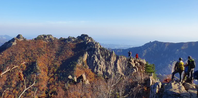 文章插圖