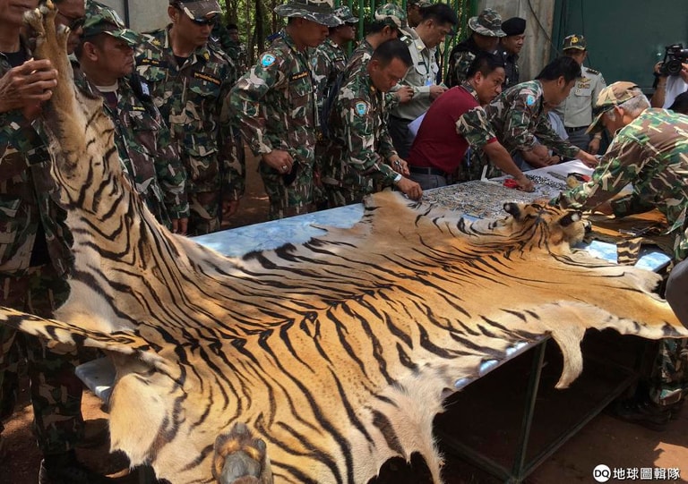 文章插圖