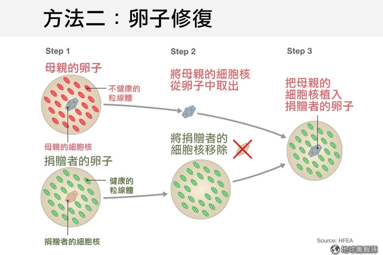 文章插圖
