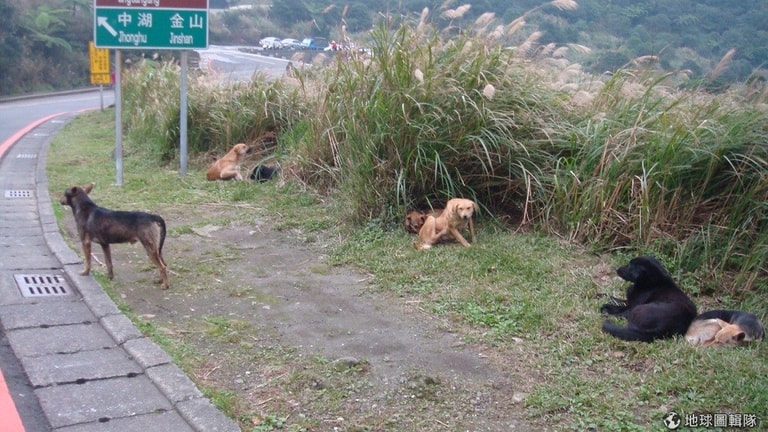 文章插圖