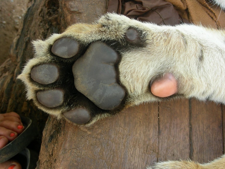 文章插圖