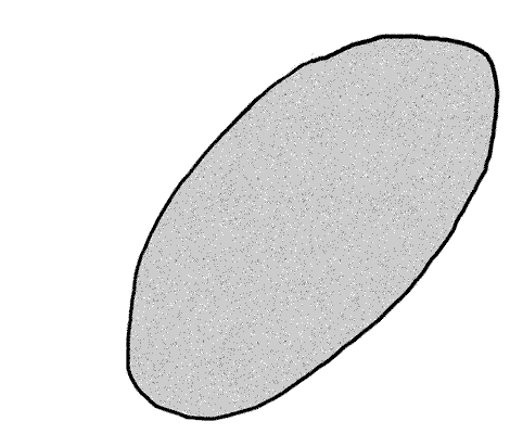 文章插圖