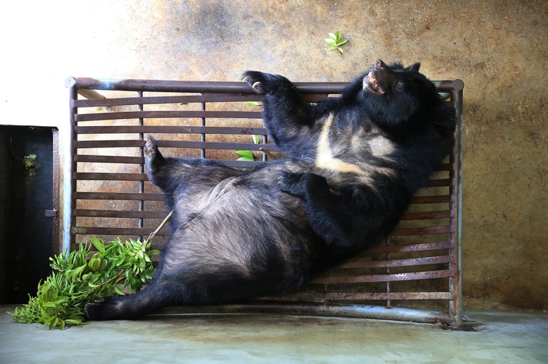 文章插圖