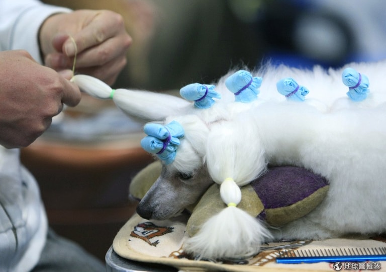 文章插圖