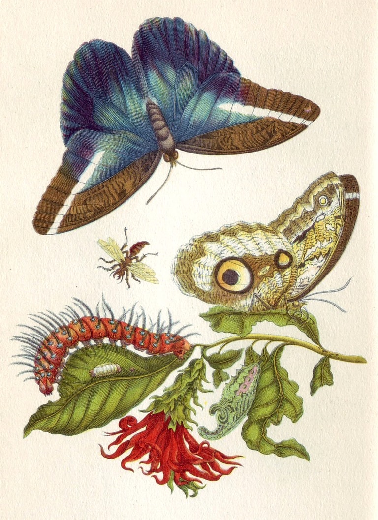 文章插圖