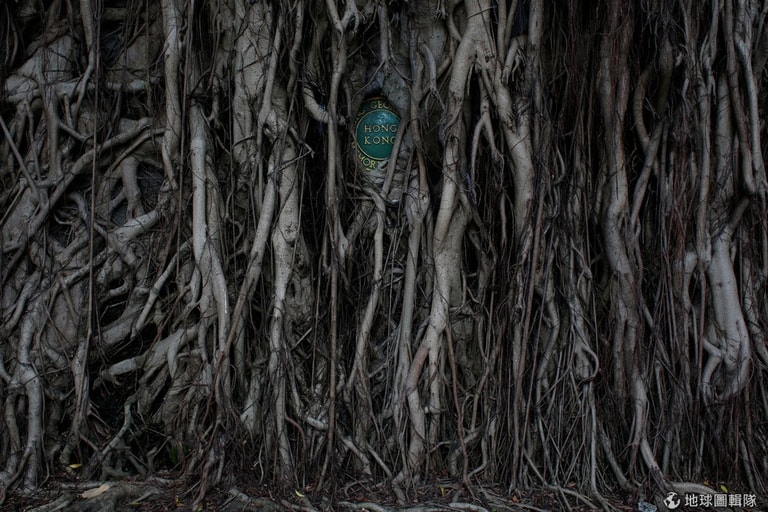 文章插圖