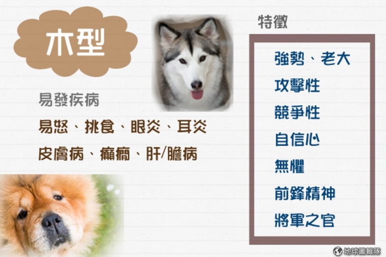 文章插圖