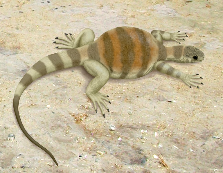 文章插圖