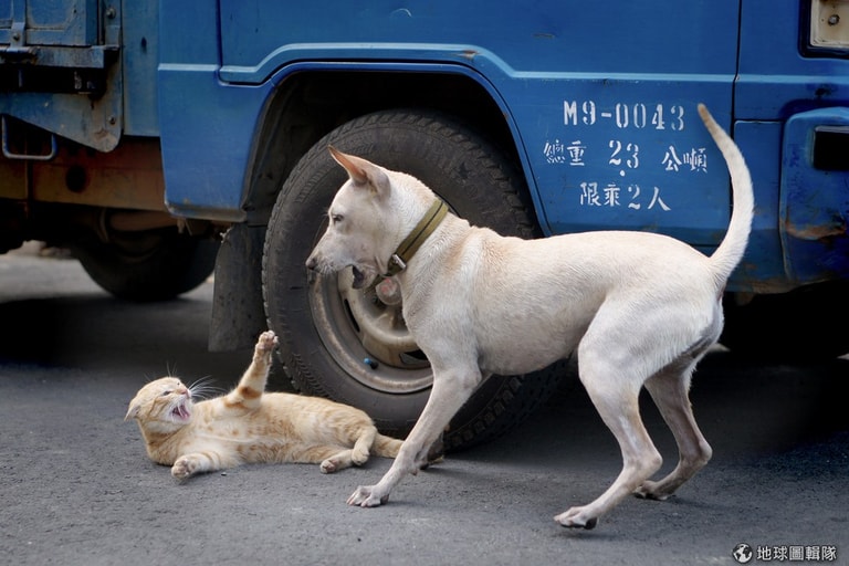 文章插圖