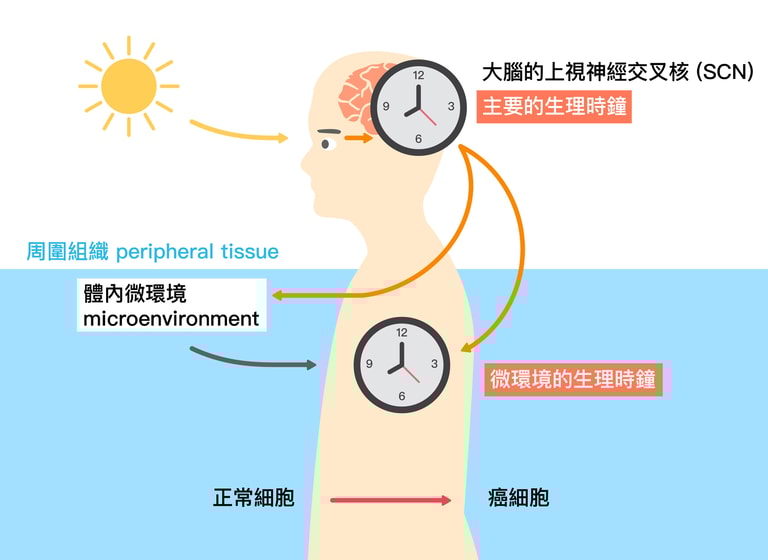 文章插圖