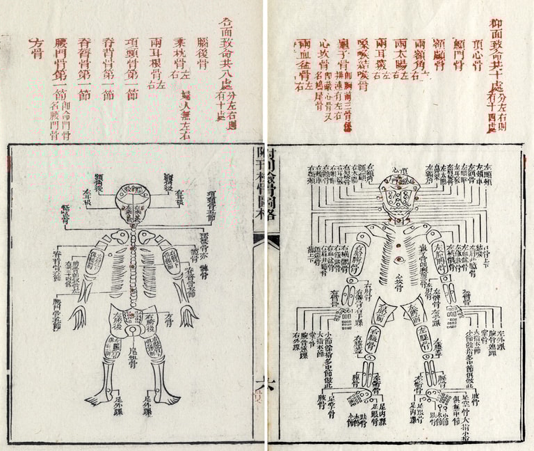 文章插圖