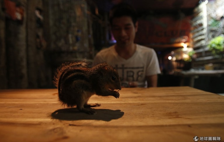 文章插圖