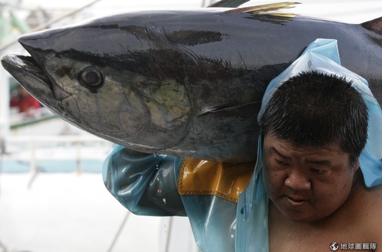 文章插圖