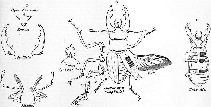 文章插圖