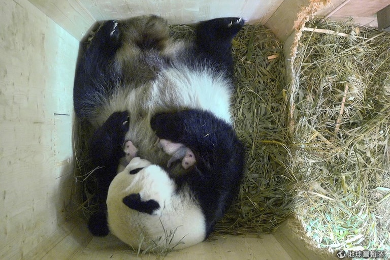 文章插圖