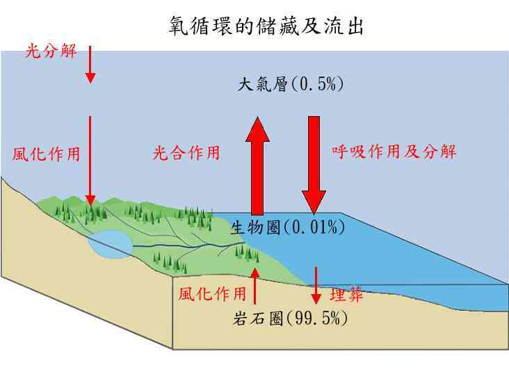文章插圖