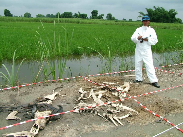 文章插圖