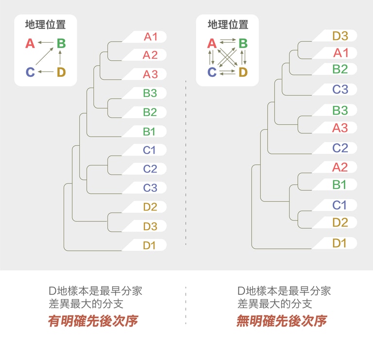 文章插圖
