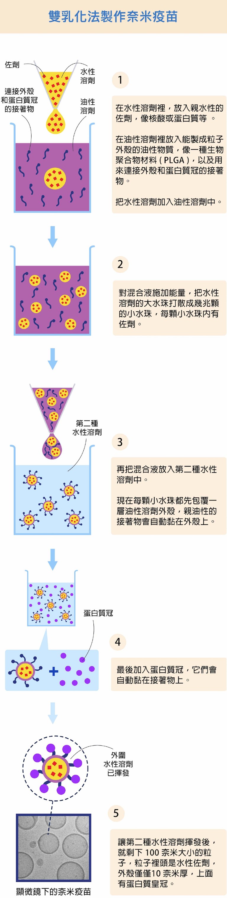 文章插圖