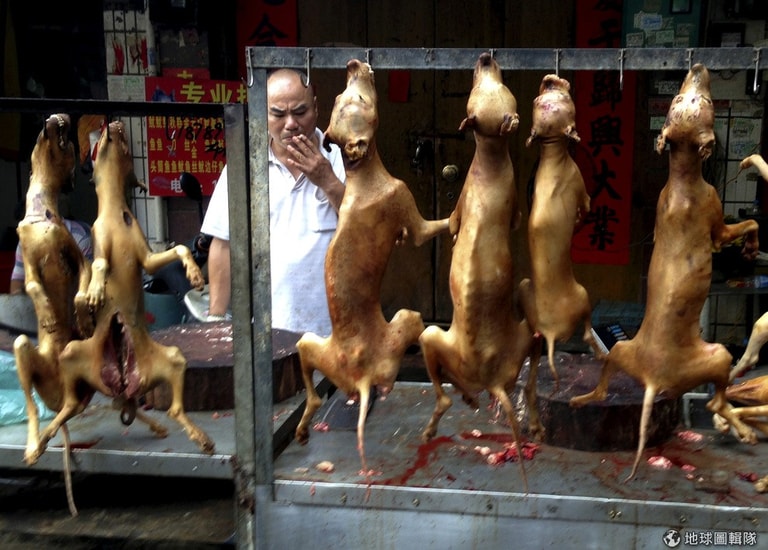 文章插圖