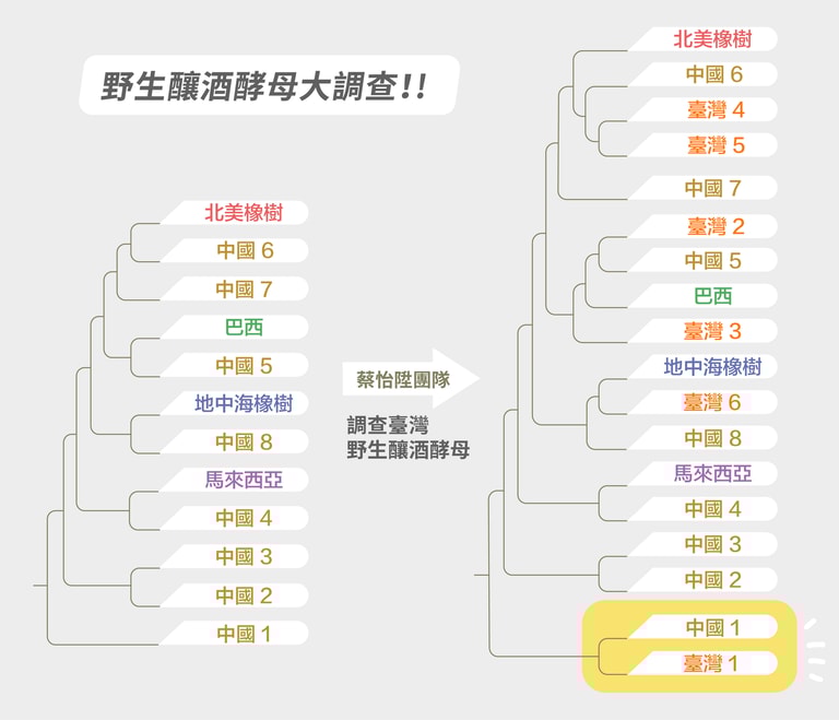 文章插圖