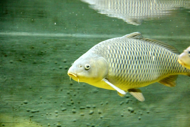文章插圖