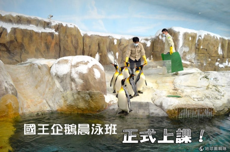 文章插圖