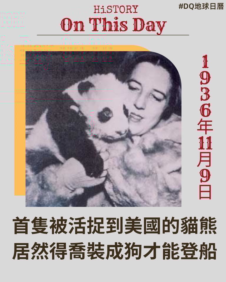 文章插圖