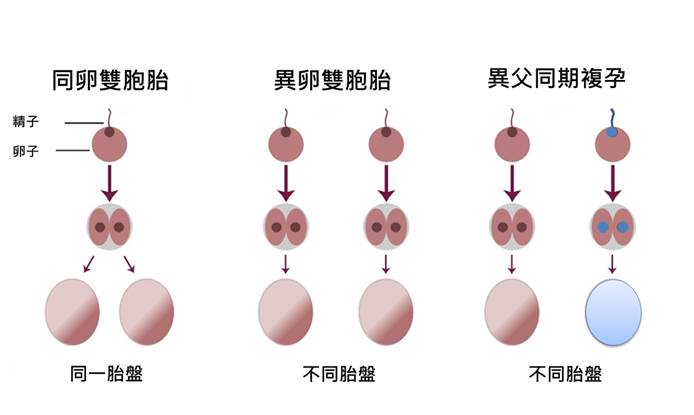 文章插圖