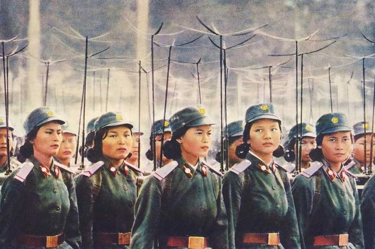 文章插圖