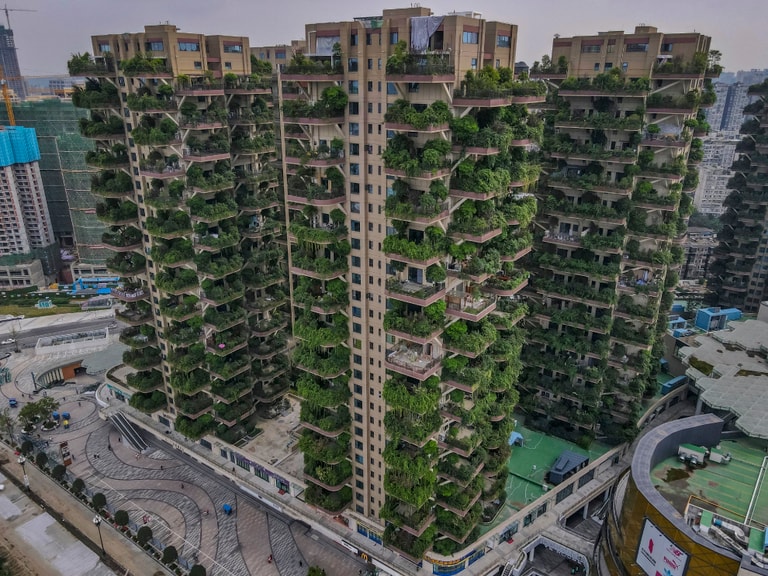 文章插圖