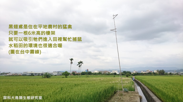 文章插圖