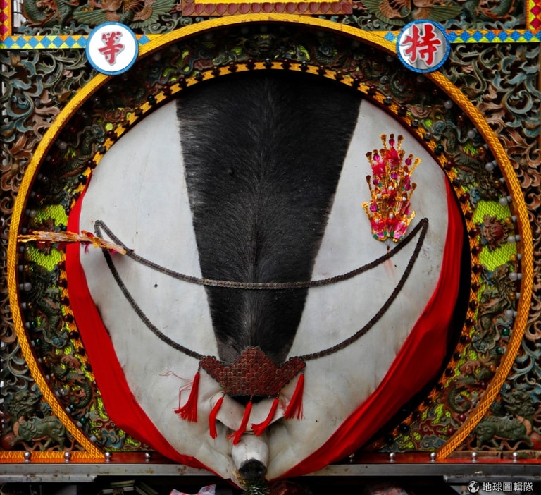 文章插圖