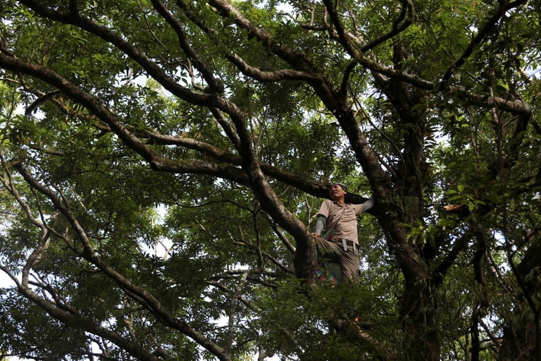 文章插圖
