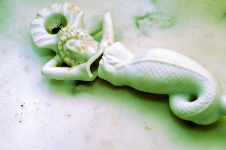 文章插圖