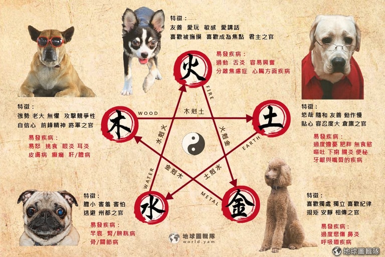 文章插圖