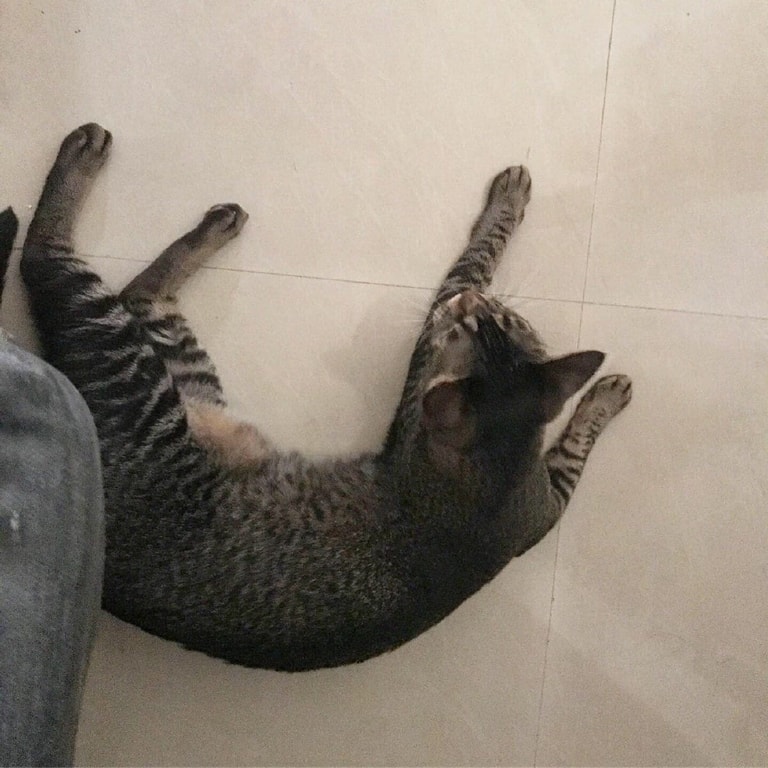 文章插圖