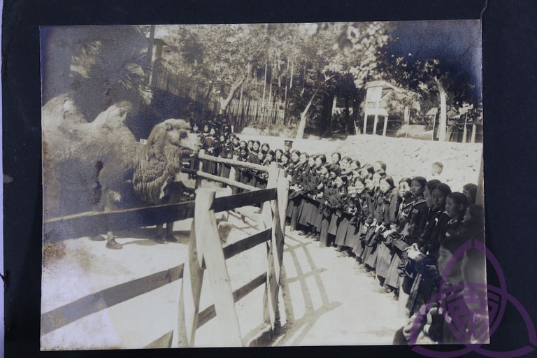 文章插圖