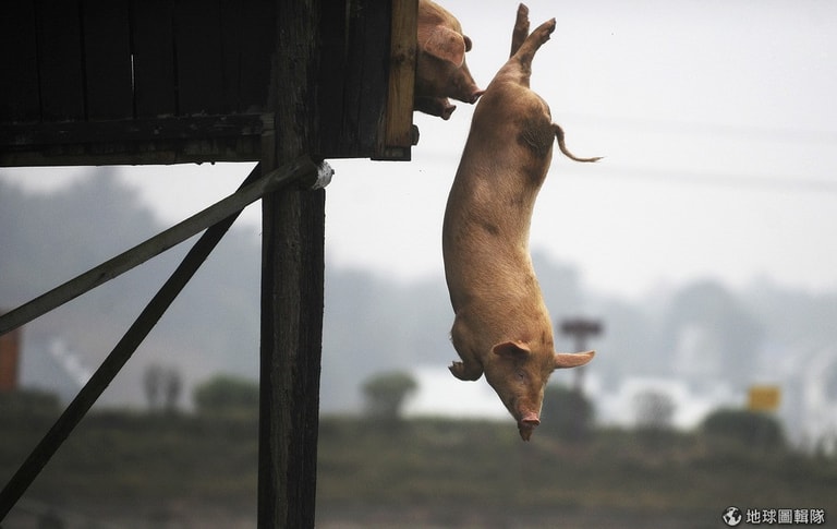 文章插圖
