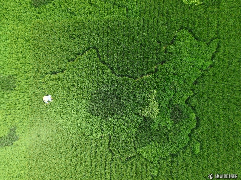 文章插圖