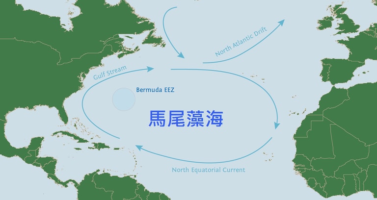文章插圖