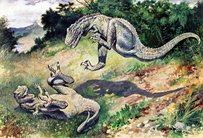 文章插圖
