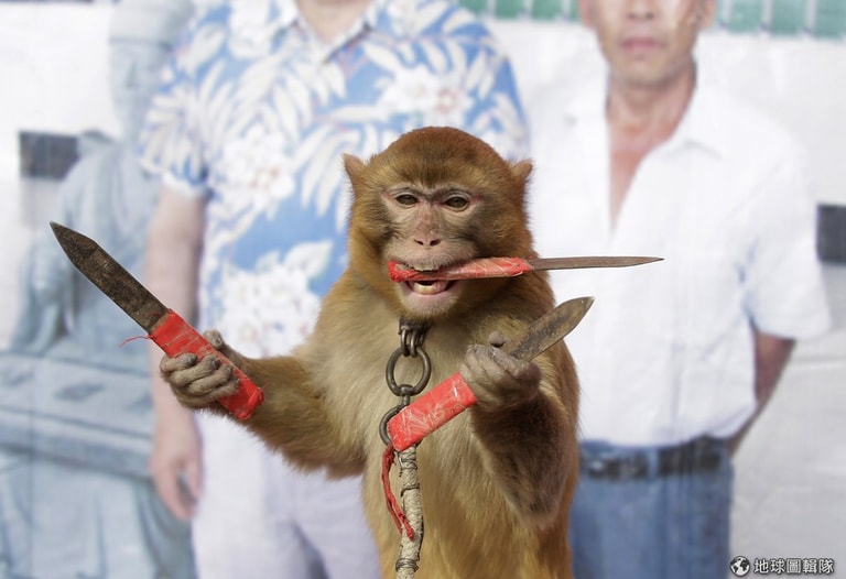 文章插圖