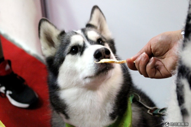 文章插圖